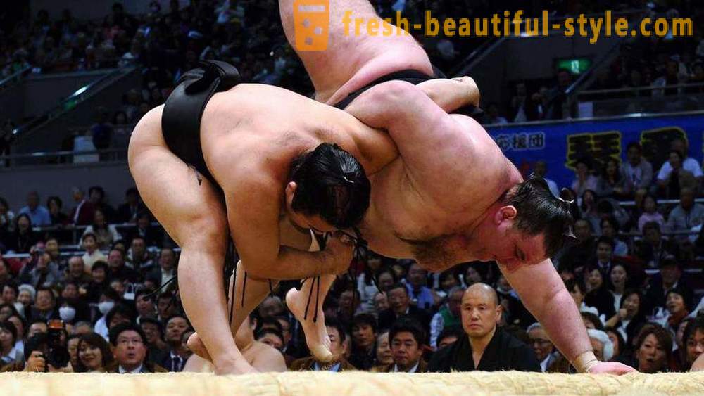 Sumo Wrestling: vēsture, noteikumi, metodes un funkcijas interesantākos faktus