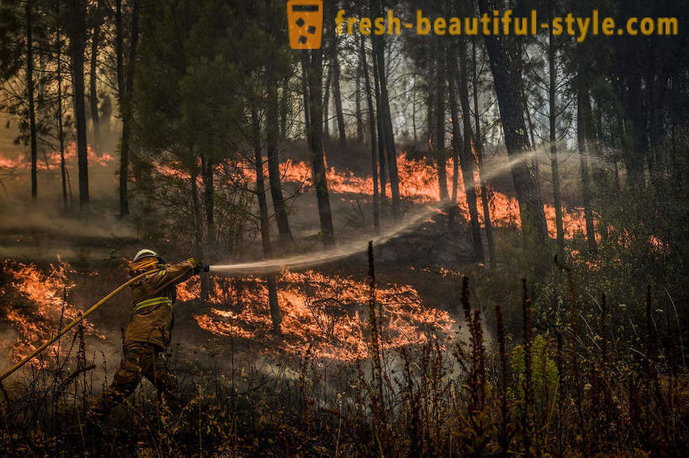 Kā dzēst ugunsgrēkus Portugālē