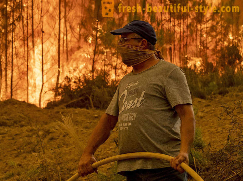 Kā dzēst ugunsgrēkus Portugālē