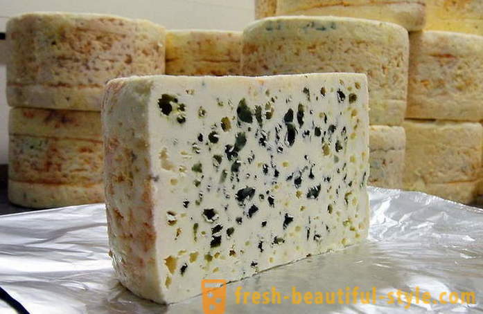 Ražošanas process franču Rokforas sieru no vecās receptes