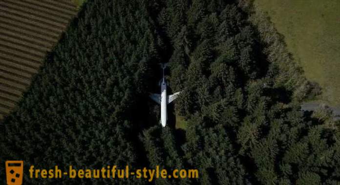 Amerikāņu, 15 gadus dzīvo ar lidmašīnu ar meža vidū