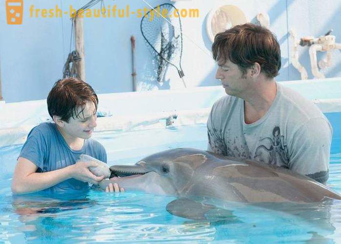Izlase filmas par delfīniem