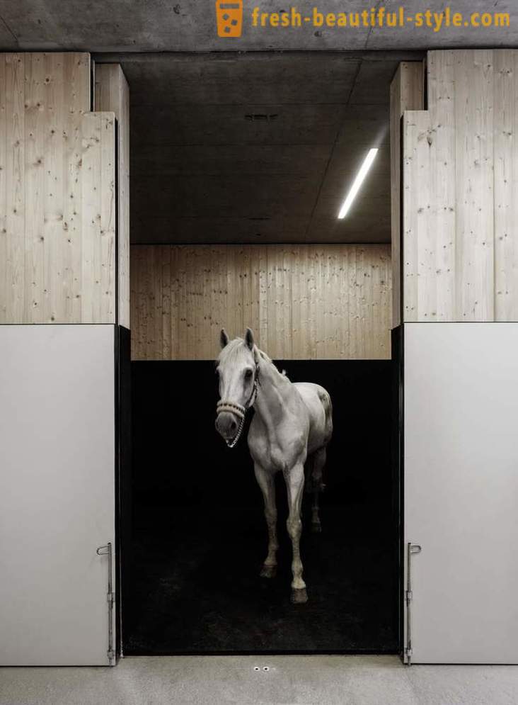 Dizains veterinārajā klīnikā zirgiem Austrijā