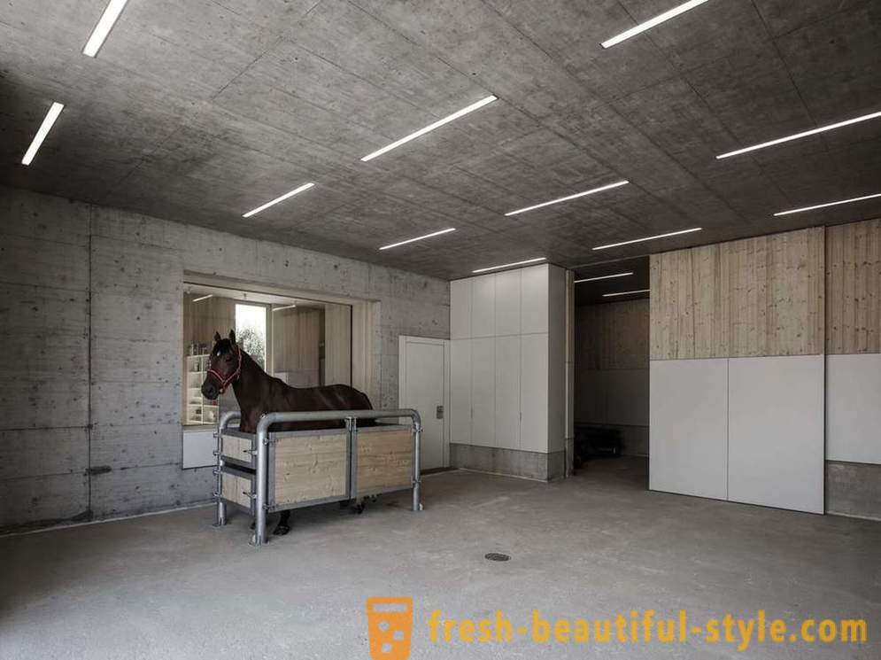 Dizains veterinārajā klīnikā zirgiem Austrijā