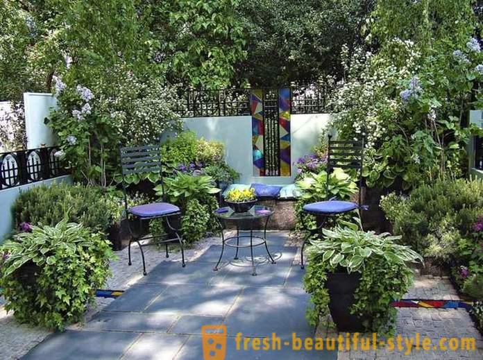 Bright ainavu dizains: 18 oriģinālas idejas reģistrācijas dārza vietā