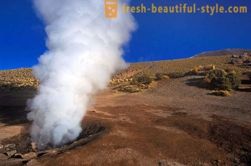 11 geizeriem, demonstrē neticamu spēku un izturību Zemes