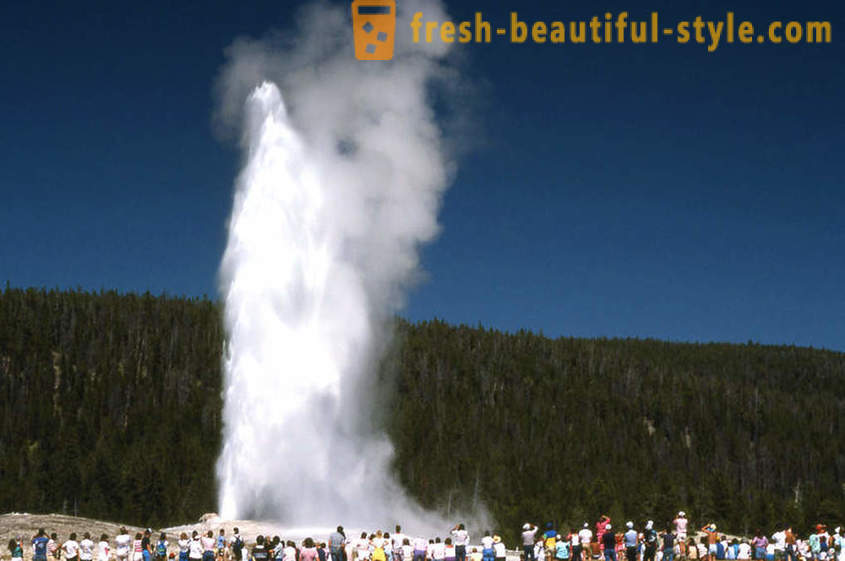 11 geizeriem, demonstrē neticamu spēku un izturību Zemes