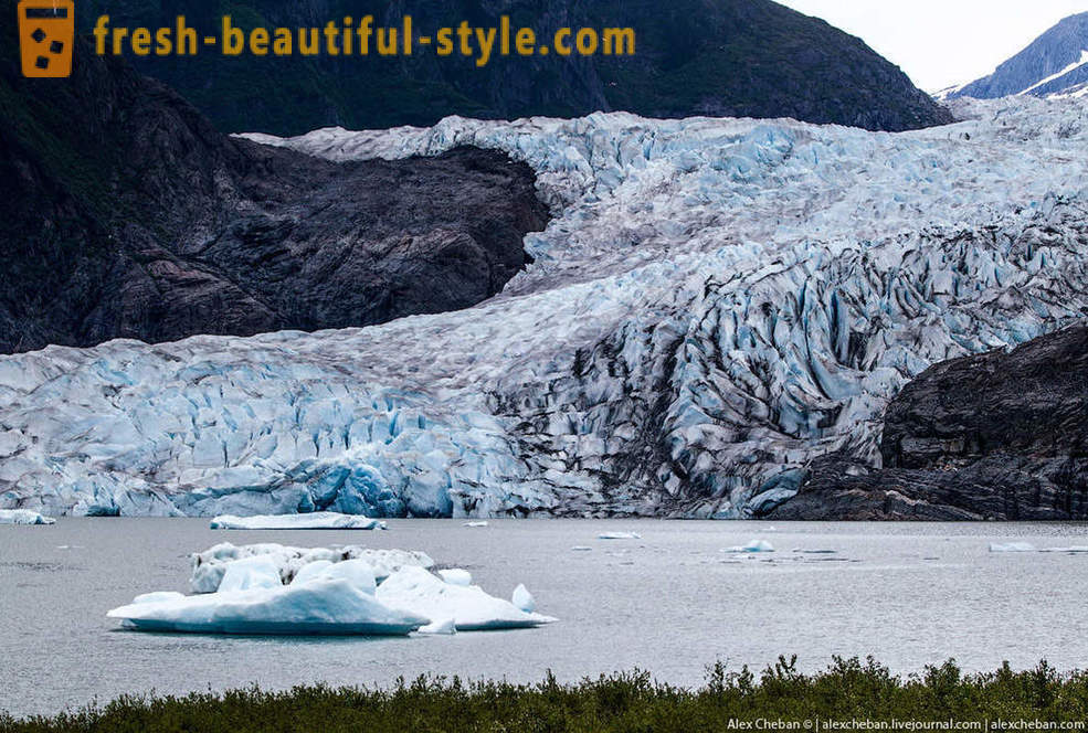 Ledāji Alaska