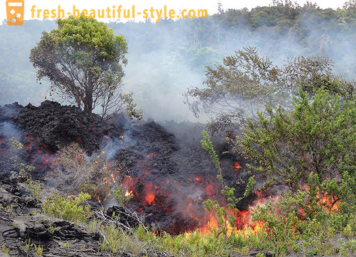 Vulkāniskās lavas plūsmas no Kilauea Hawaii