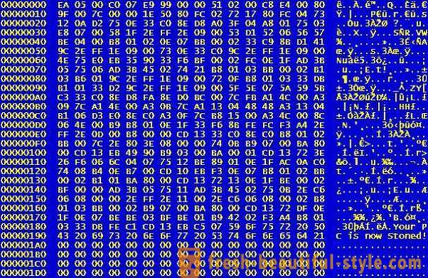 Interesanti fakti par datoru vīrusiem, jums vajadzētu zināt