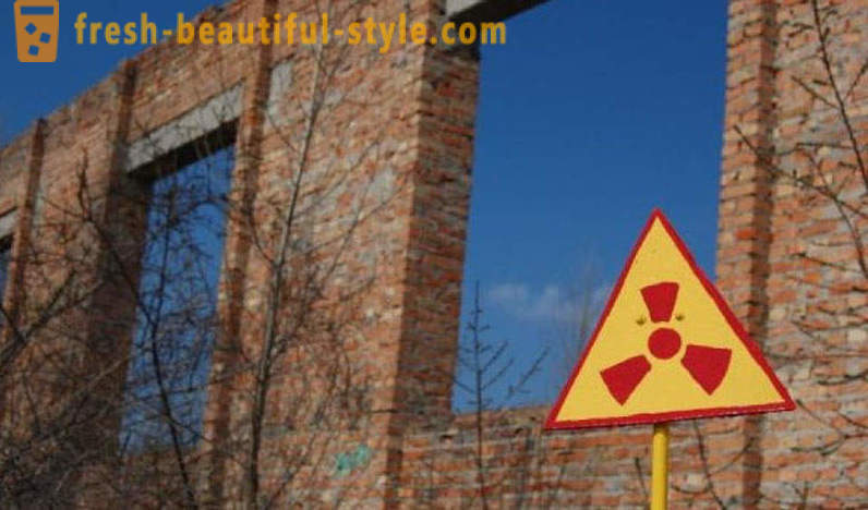 Nuclear grozs: kas aug Černobiļā