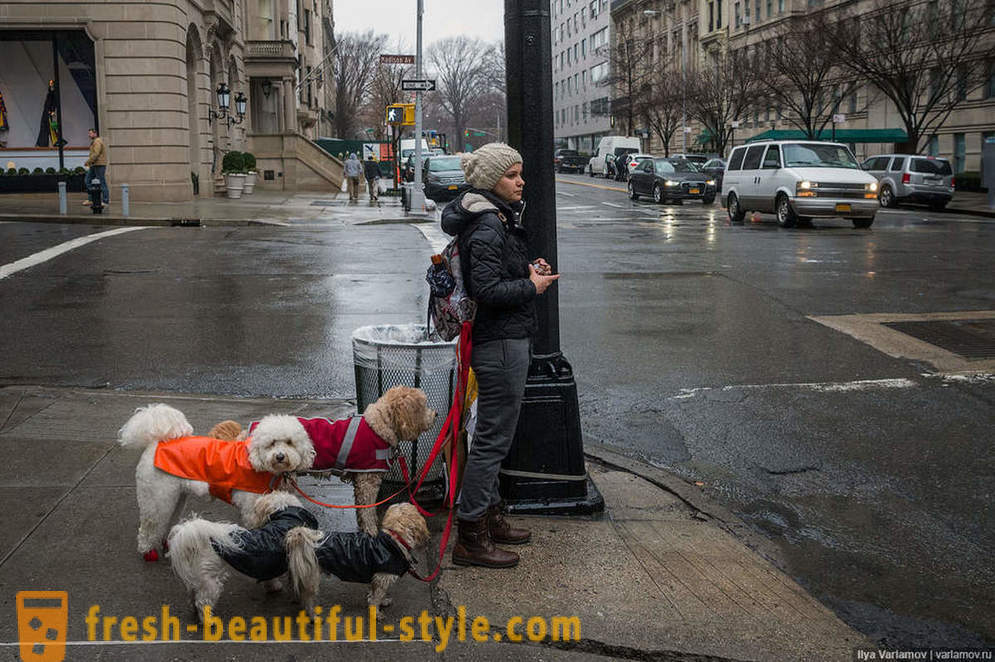 New York: Dīvaini modes, slikti ceļi un viesnīca nākotnes