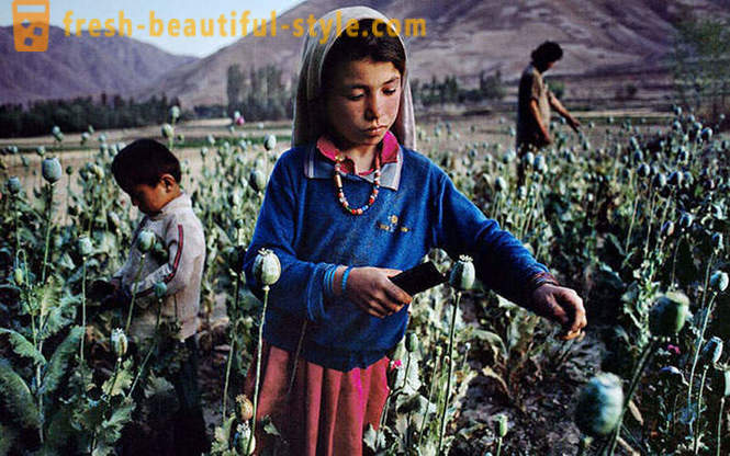 Afganistāna ar lēcu no Steve Mc Karija