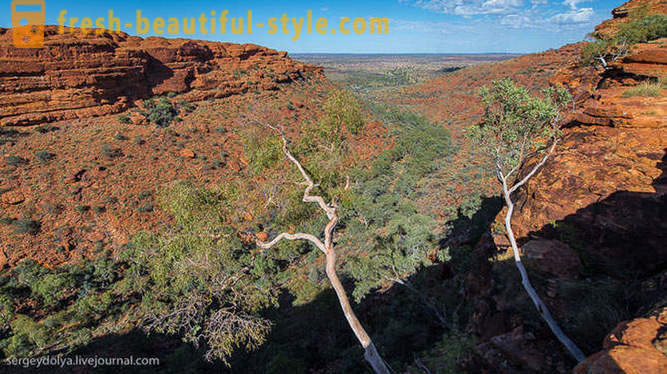 Pastaiga pa Kings Canyon Austrālijā