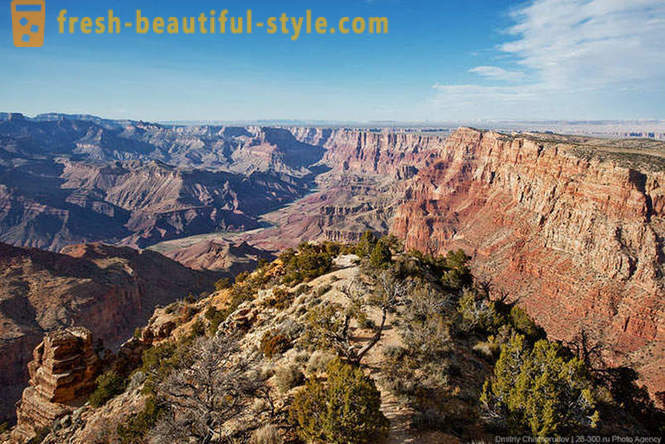 Grand Canyon ASV