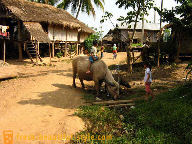 GeoFresher - Kā dzīvot Laosā