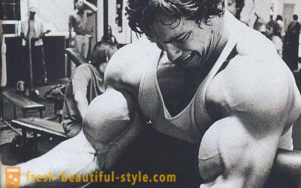 Workout bicepss. Mācību programma biceps