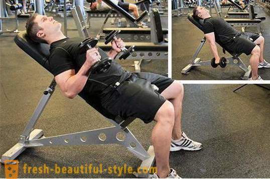 Workout bicepss. Mācību programma biceps