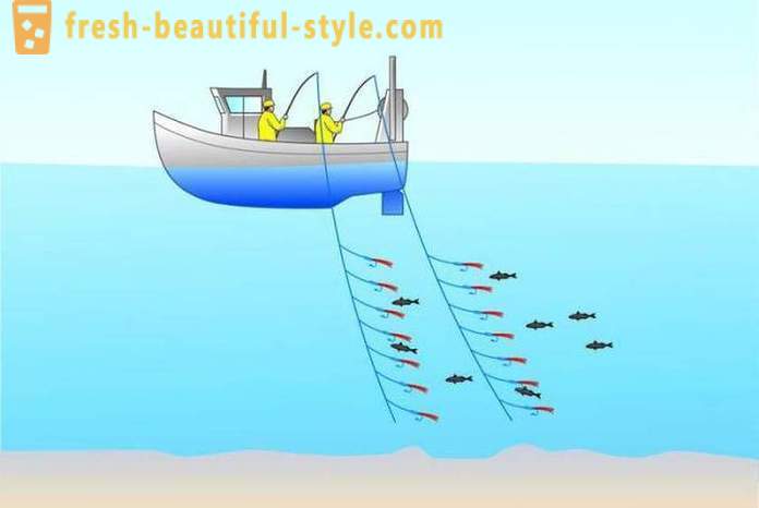 Velcēšanas: zvejojot iesācējiem. Makšķerēšana velcēšanas laivu