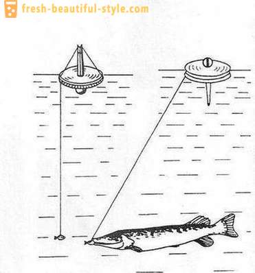 Ķeršana līdakas loku: Metodes funkcijas. Pike zveja uz apļiem uz upi, uz ezera