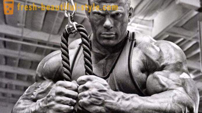 Steroīdi par muskuļu augšanu. Lai ātri palielinātu muskuļu masu
