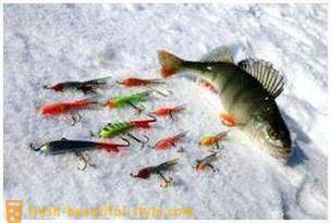 Makšķerēšana šūpuļzirgs ziemā. zvejas paņēmiens līdzsvara baļķi
