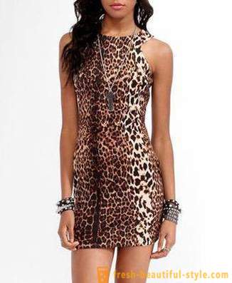 Leopard kleita skaista plēsoņa