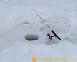 Aizraujoša zveja karpas ziemā